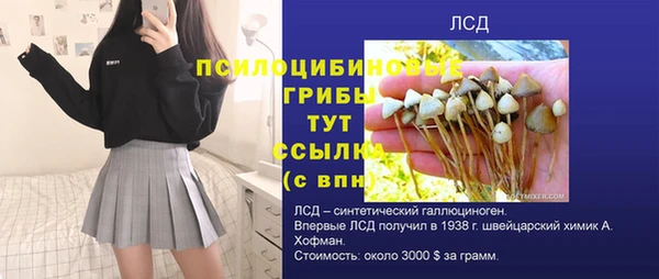 гашик Аркадак