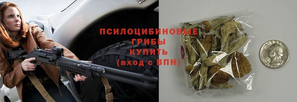 экстази Арсеньев