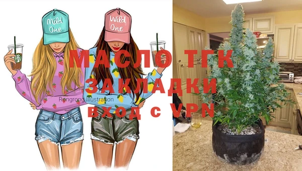 прущие грибы Армянск