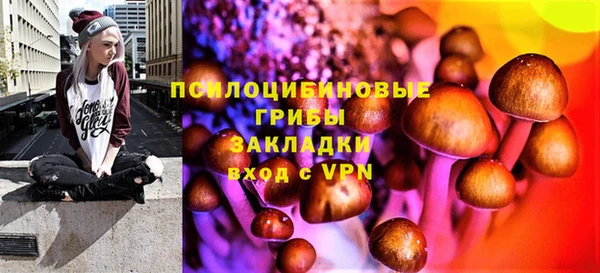 экстази Арсеньев