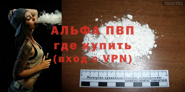 прущие грибы Армянск
