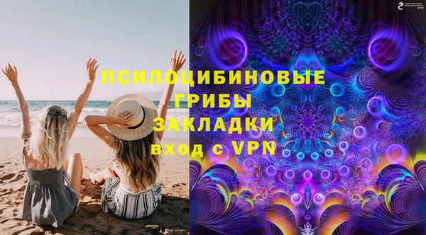 прущие грибы Армянск