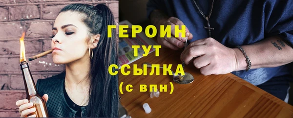 индика Новозыбков