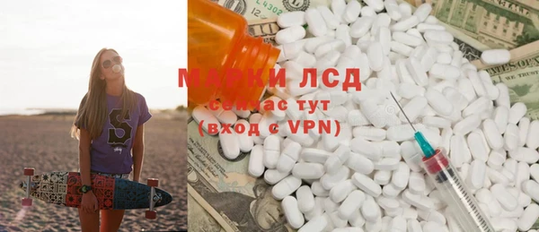 прущие грибы Армянск