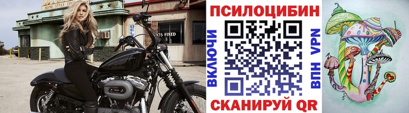 Псилоцибиновые грибы GOLDEN TEACHER  Баймак 